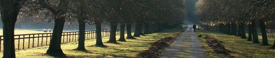 Haras du Grand Lys