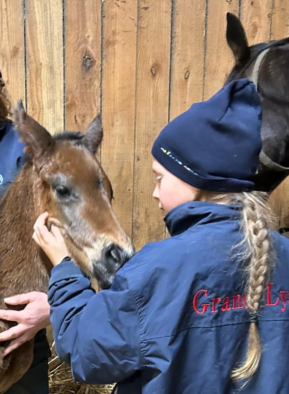 Hands-on horse care at Grand Lys