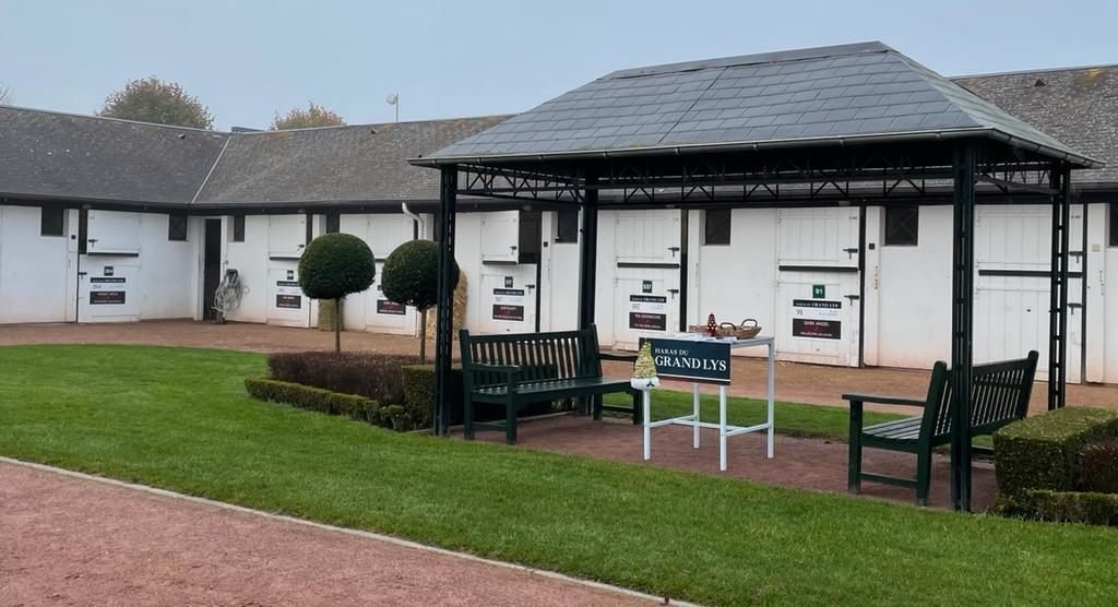Haras du Grand Lys presenting as an ARQANA consignor, with sale boards and lot numbers